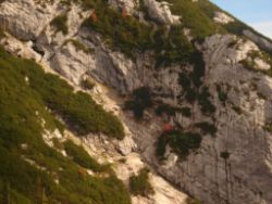 2013-10-08_Guffert (066).JPG